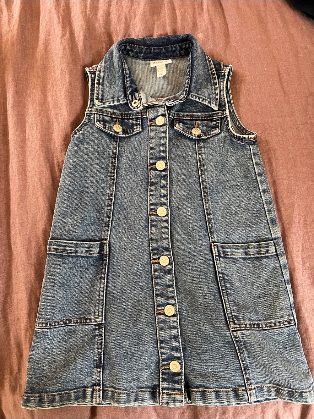 Cat & Jack Girls' Blue Sleeveless Button-Front Denim Dress
